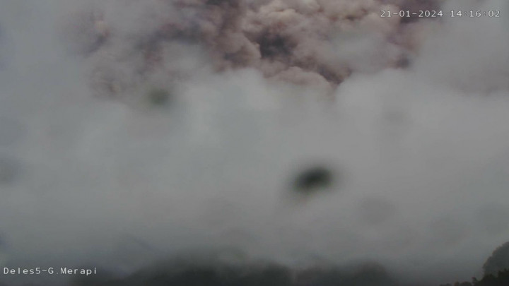 Gunung Merapi 103 Kali Guguran Lava dan 875 Gempa dalam Sepekan Terakhir