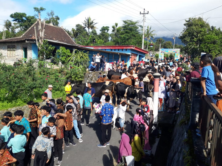 Tradisi Unik Syawalan di Boyolali, Ratusan Sapi dan Kambing Diarak Keliling Desa