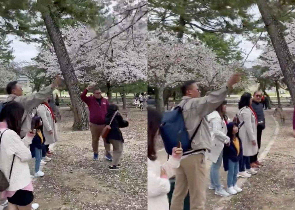 Respons Kemenparekraf Soal Wisatawan Indonesia Rusak Pohon Sakura di Jepang