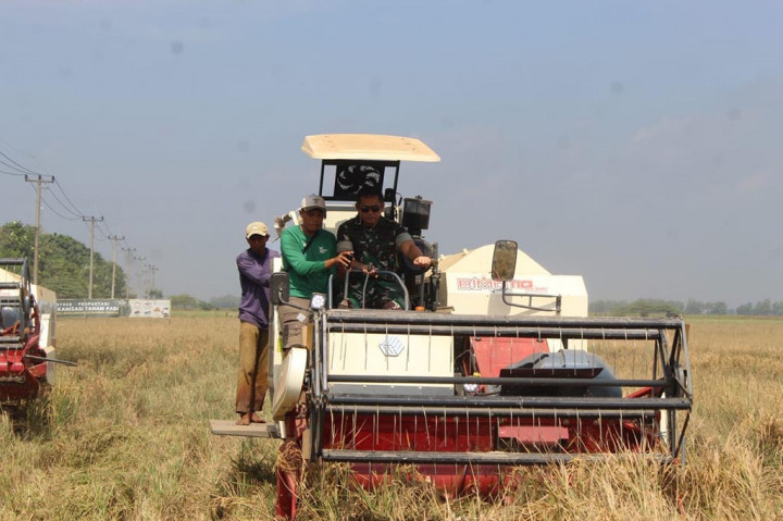 Momen KSAD Panen Raya Padi di Subang