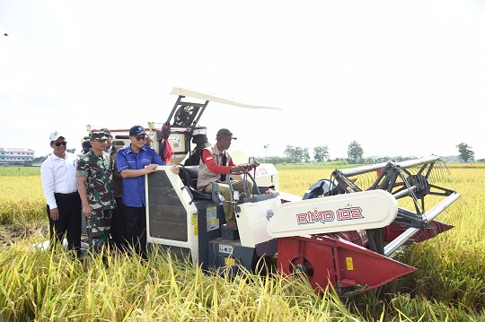 IPB Ciptakan Benih Padi Cerdas yang Adaptif Perubahan Iklim