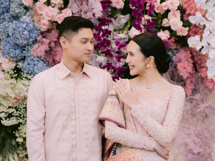 Beby Tsabina Dilamar Anggota DPR