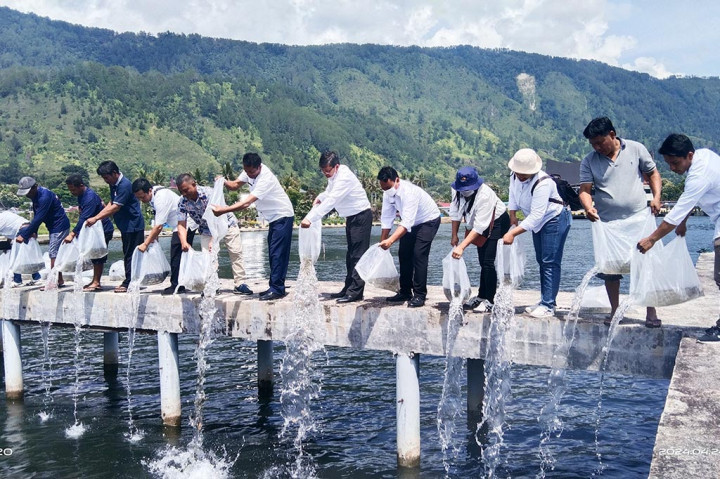 Jaga Populasi Ikan di Danau Toba, DKP Sumatra Utara Tebar 30.000 Ekor Benih Ikan Nila