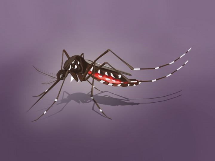 Masyarakat Diminta Mulai Waspada Lagi Penyakit Malaria