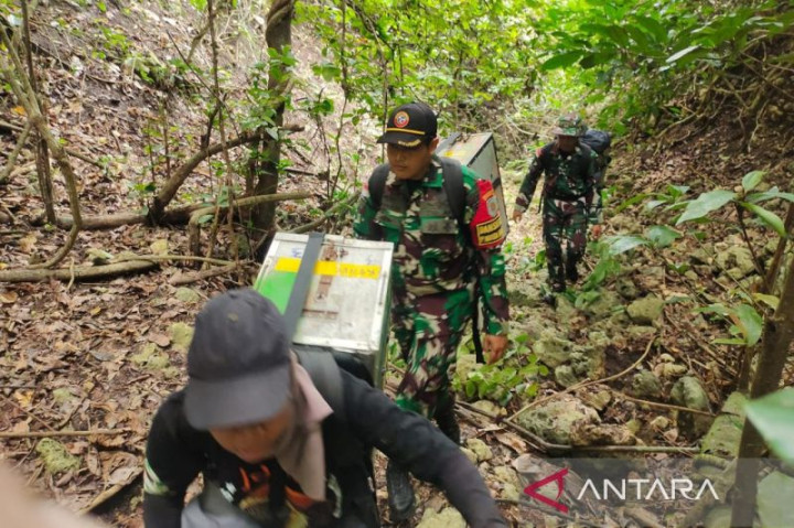 Satgas Pulau Terluar TNI AL Lepas Liar 52 Satwa Dilindungi di Jember