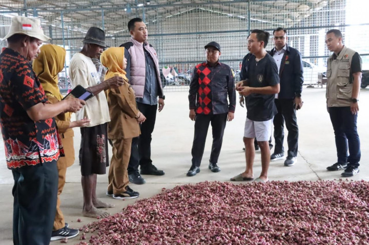 Banjir dan Kekeringan Biang Gagal Panen Bawang Merah di Brebes