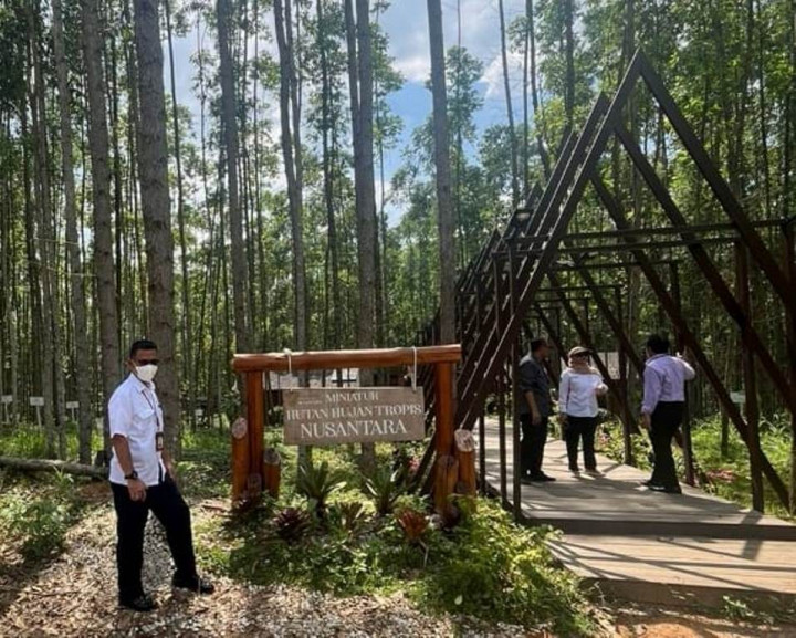 BRIN Bakal Hadirkan Tumbuhan Habitat Alami Indonesia di Kebun Raya IKN