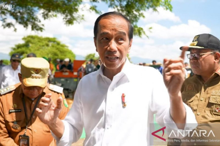 Presiden Jokowi Dorong Produktivitas Jagung Ditingkatkan