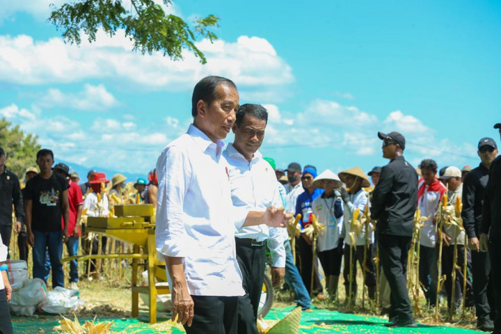 Panen Jagung Bersama Mentan di Sumbawa, Presiden Jokowi Tekankan Keseimbangan Harga