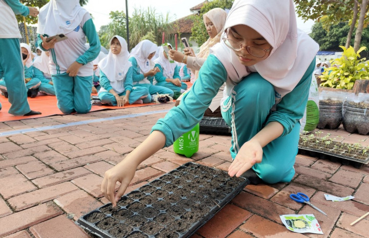 Belajar Urban Farming, Siswa SMPN 4 Curug Tanam Kembang Kol di Rumah