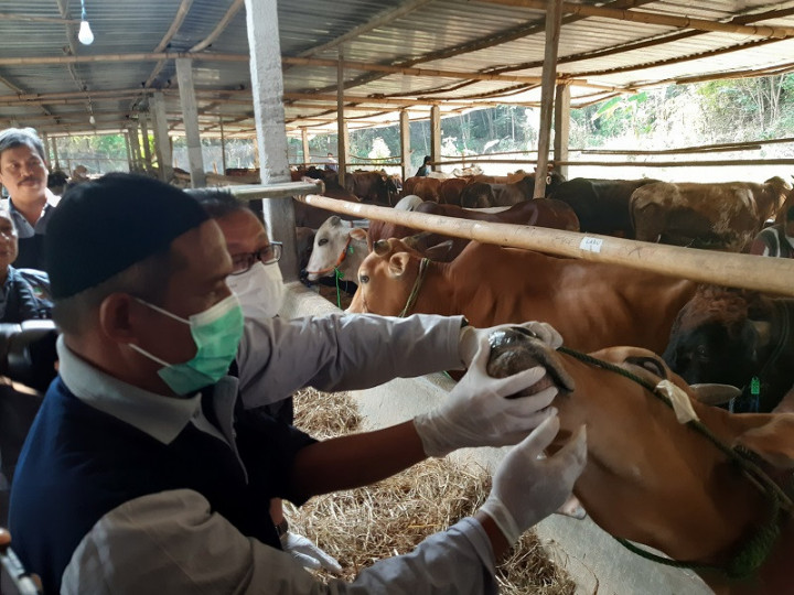 Persiapan Iduladha, Pemkab Sukoharjo Antisipasi PMK di Pasar Hewan