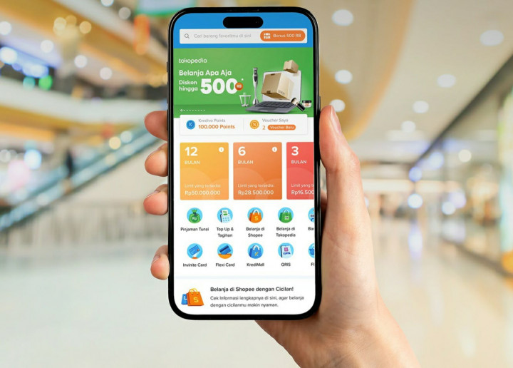 Pengguna <i>Paylater</i> Perlu Perkuat Literasi Keuangan