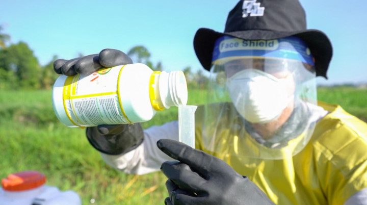 Mengawal Pelaku Usaha Pertanian Mencapai Praktik Berkelanjutan