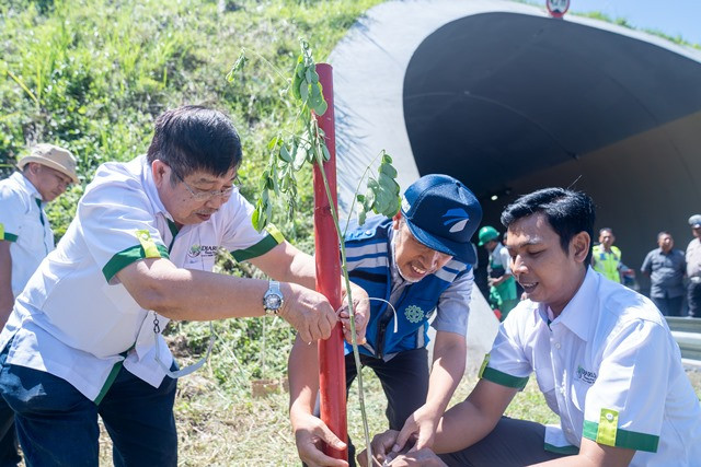 Tanaman trembesi di Jalan Tol Cusumdawu, wujud BLDF minimalkan emisi karbon.  (Foto: Dok. istimewa)