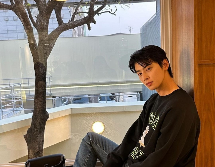 Terungkap Sumber Wajah Tampan Cha Eunwoo ASTRO