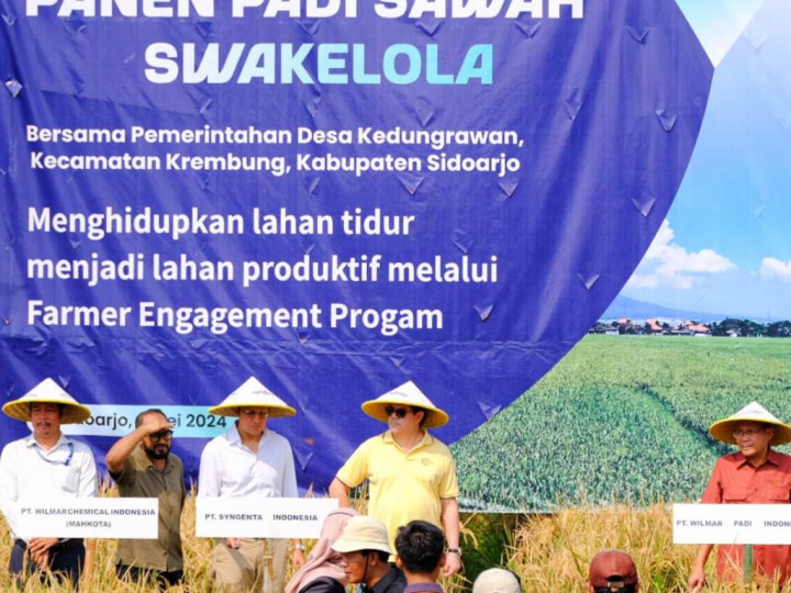 Manfaatkan Lahan Tidur, Produksi Gabah Petani Capai 8 Ton/Ha