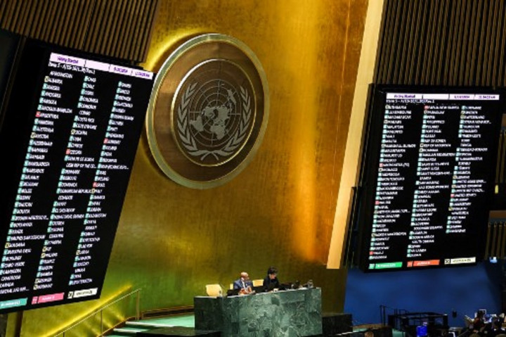 RI Welcomes Palestine's Special Rights at the UN, Full Membership Closer