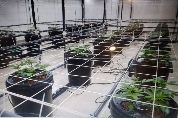 Bareskrim Polri Gerebek Kebun Ganja dan Laboratorium Narkoba di Bali