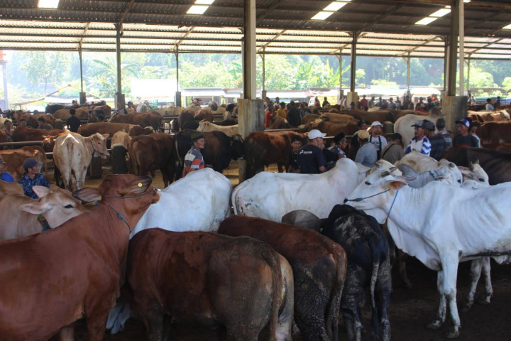 DKPP Jepara Pastikan Kebutuhan Hewan Kurban Aman