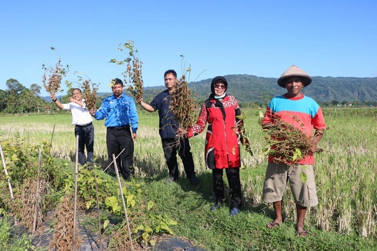 Kenalan Yuk dengan Prodi-Prodi di Fakultas Pertanian UGM, Kuliah hingga Prospek Kerjanya