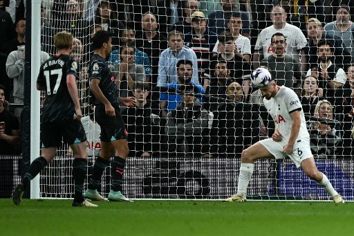 Suasana laga Tottenham Hotspurs vs Man City. (AFP Photo/Ben Stansall)