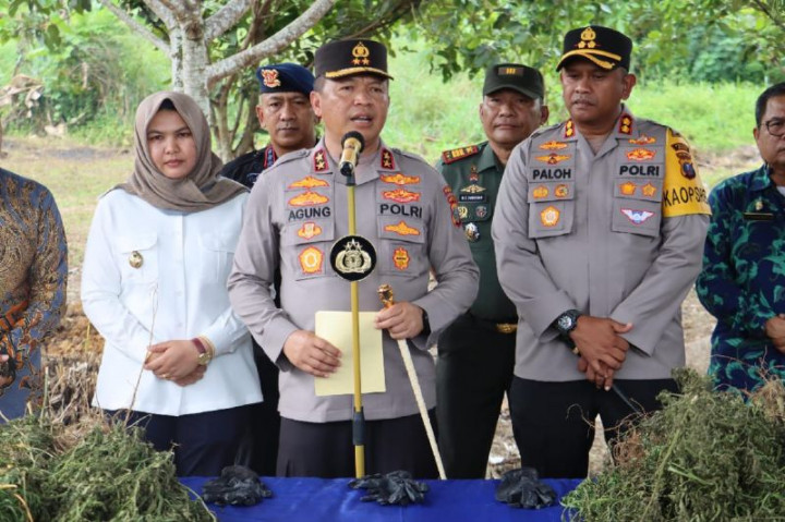 Polda Sumut Temukan Ladang Ganja dengan Bantuan Alat Canggih Milik BRIN