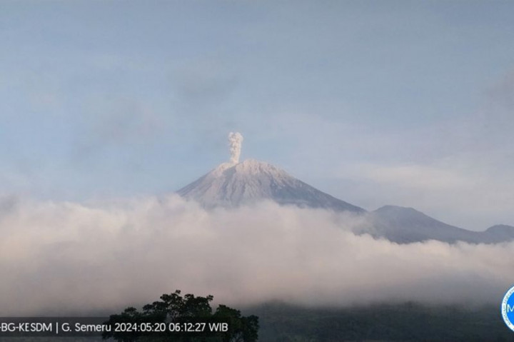 Gunung Semeru Kembali Erupsi Lontarkan Abu Vulkanik 800 Meter