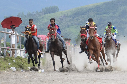 Ini Tips Menjaga Performa Kuda Pacu