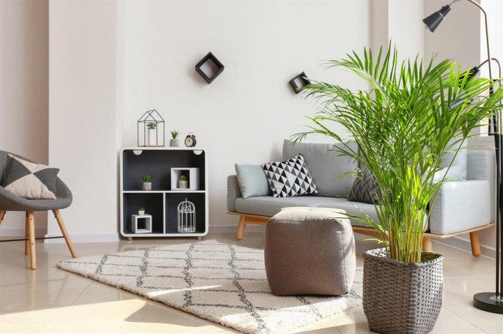 Kombinasi Warna Krem yang Cocok untuk Interior Rumah