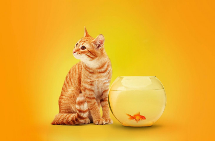 Ada Malware Sembunyi di Tautan GitHub dan GitLab 'Resmi'