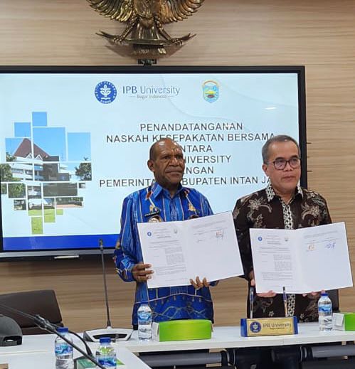 Gandeng IPB, Pemkab Intan Jaya Bakal Bangun SDM Asli Papua