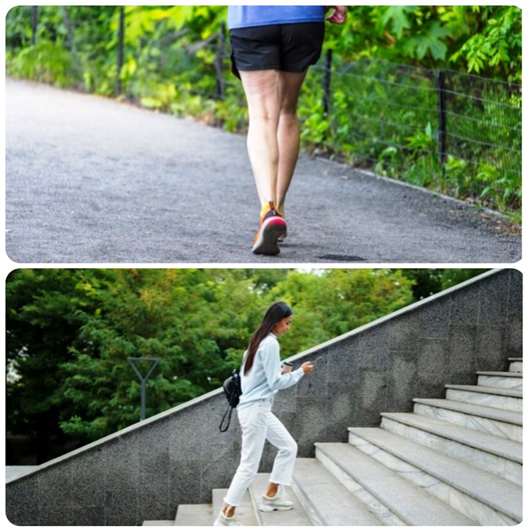 Baik jalan kaki maupun naik tangga keduanya memiliki peran yang baik dalam menurunkan berat badan. Ilustrasi Freepik
