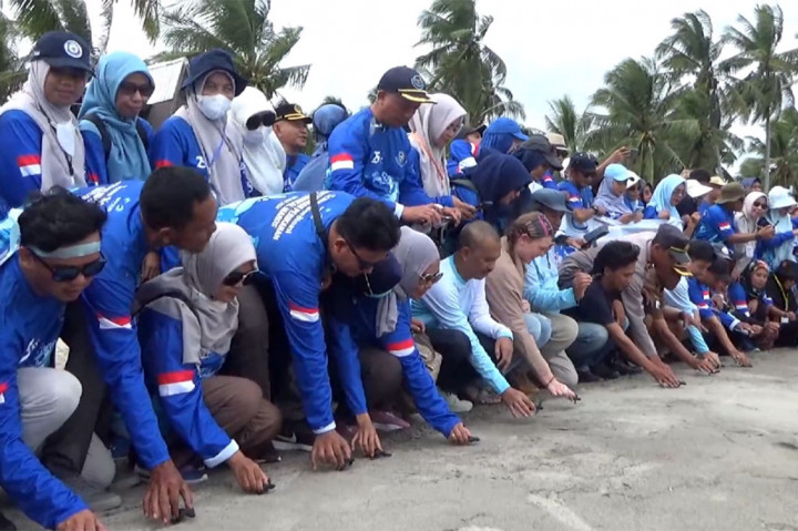 Lestarikan dari Kepunahan, Ratusan Tukik Dilepasliarkan di Pantai Polewali Mandar