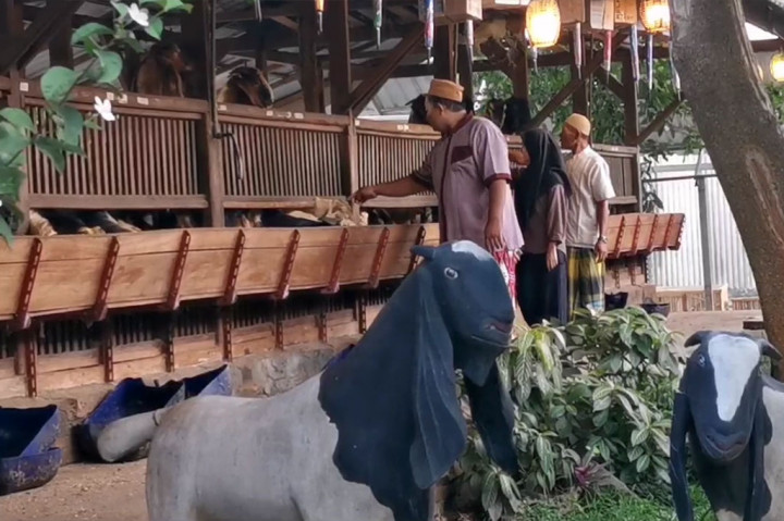 Wow! Kandang Kambing Kurban Bak Villa, Makanan pun Berfermentasi