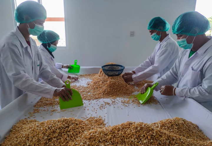 Tempe Jadi Pangan Sehat, Siap Masuk Daftar Warisan Budaya UNESCO