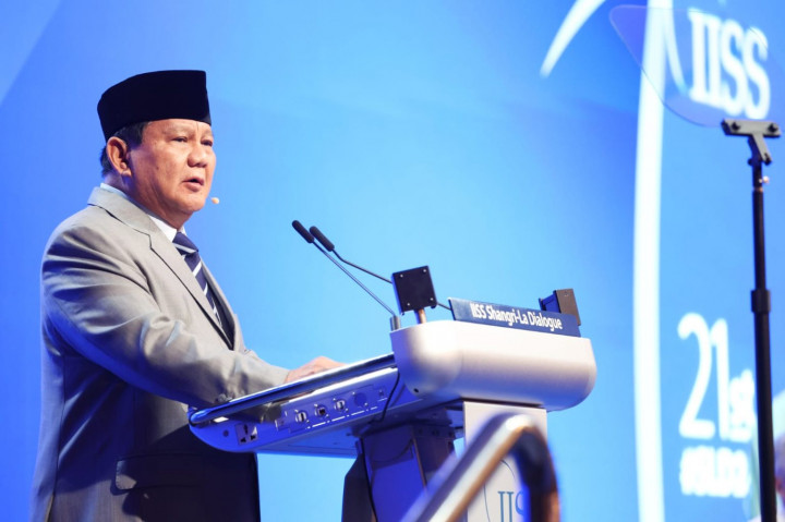 Usulan Indonesia Kirim Pasukan Perdamaian PBB ke Gaza Dianggap Berani