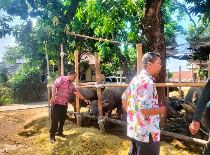 Stok Hewan Kurban di Kudus Dipastikan Aman