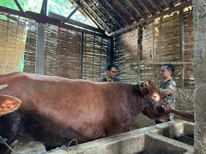 Simak 12 Keutamaan Berkurban di Hari Raya Iduladha