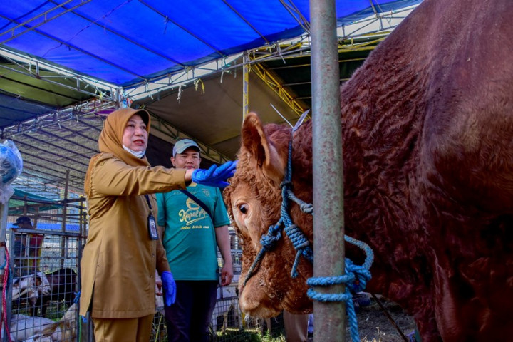 Lapak Hewan Kurban di Surabaya Harus Sehat dan Punya Rekomendasi DKPP