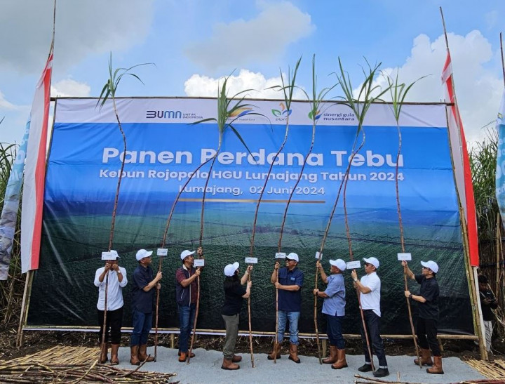 Kementerian BUMN Optimistis PTPN Mampu Jaga Stabilitas Pangan