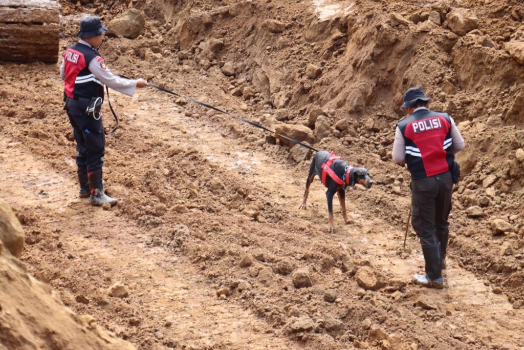 Anjing pelacak K9 membantu pencarian korban tertimbun tanah longsor di area pertambangan pasir di Dusun Supit, Desa Pronojiwo, Kecamatan Pronojiwo, Kabupaten Lumajang, Jawa Timur/Polres Lumajang.