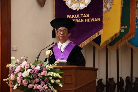 Guru Besar UGM Sebut Kemangi dan Sel Punca Berpotensi untuk Pengobatan Alzheimer dan CCD