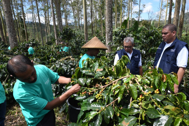 Surveyor Indonesia Giat Tingkatkan Pembangunan Berkelanjutan