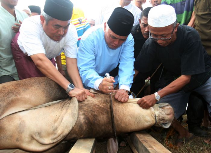 Jelang Iduladha, Ini Doa Menyembelih Hewan Kurban