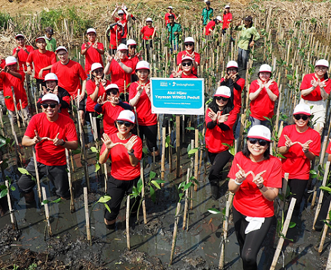 Peduli Lingkungan, Wings Group Ajak Puluhan Karyawan Menanam Pohon Mangrove di PIK