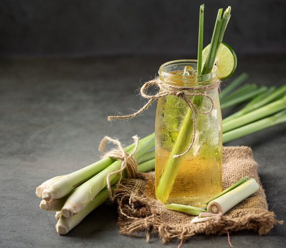 Teh Serai Campur Jeruk Nipis, Rasakan 5 Manfaatnya Bila Diminum Rutin