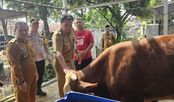 Pemkab Tangerang Pastikan Hewan Kurban Bebas dari Penyakit