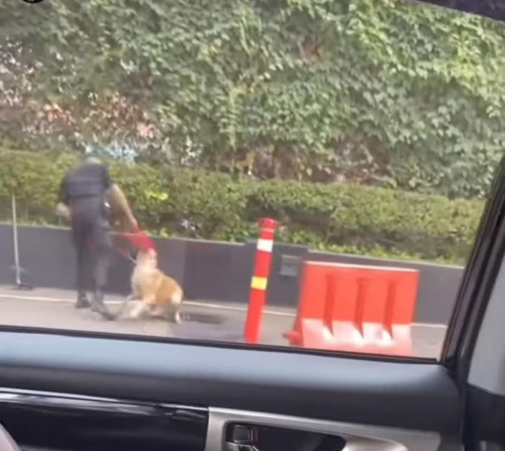 Akhir Kasus Sekuriti Plaza Indonesia Pukul Anjing, Nasarius Tak Jadi Dipecat