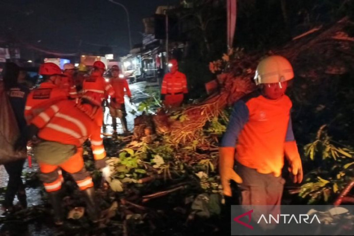 Pengendara Motor Tewas usai Tertimpa Pohon Tumbang di Kota Bogor