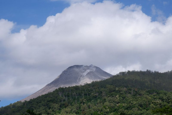 BPBD Flores Timur Siapkan Evakuasi Warga Terdampak Erupsi Gunung Lewotobi